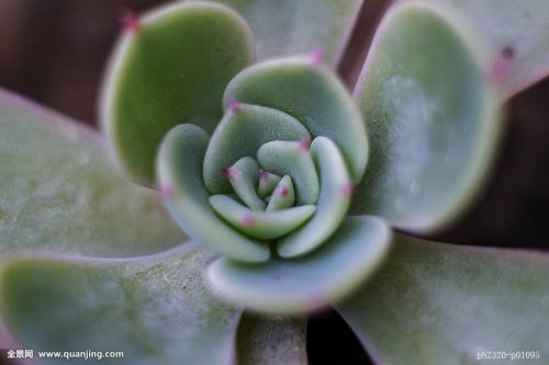 ͨ䲿Сͳ޾Ӫ߲泵ṩ